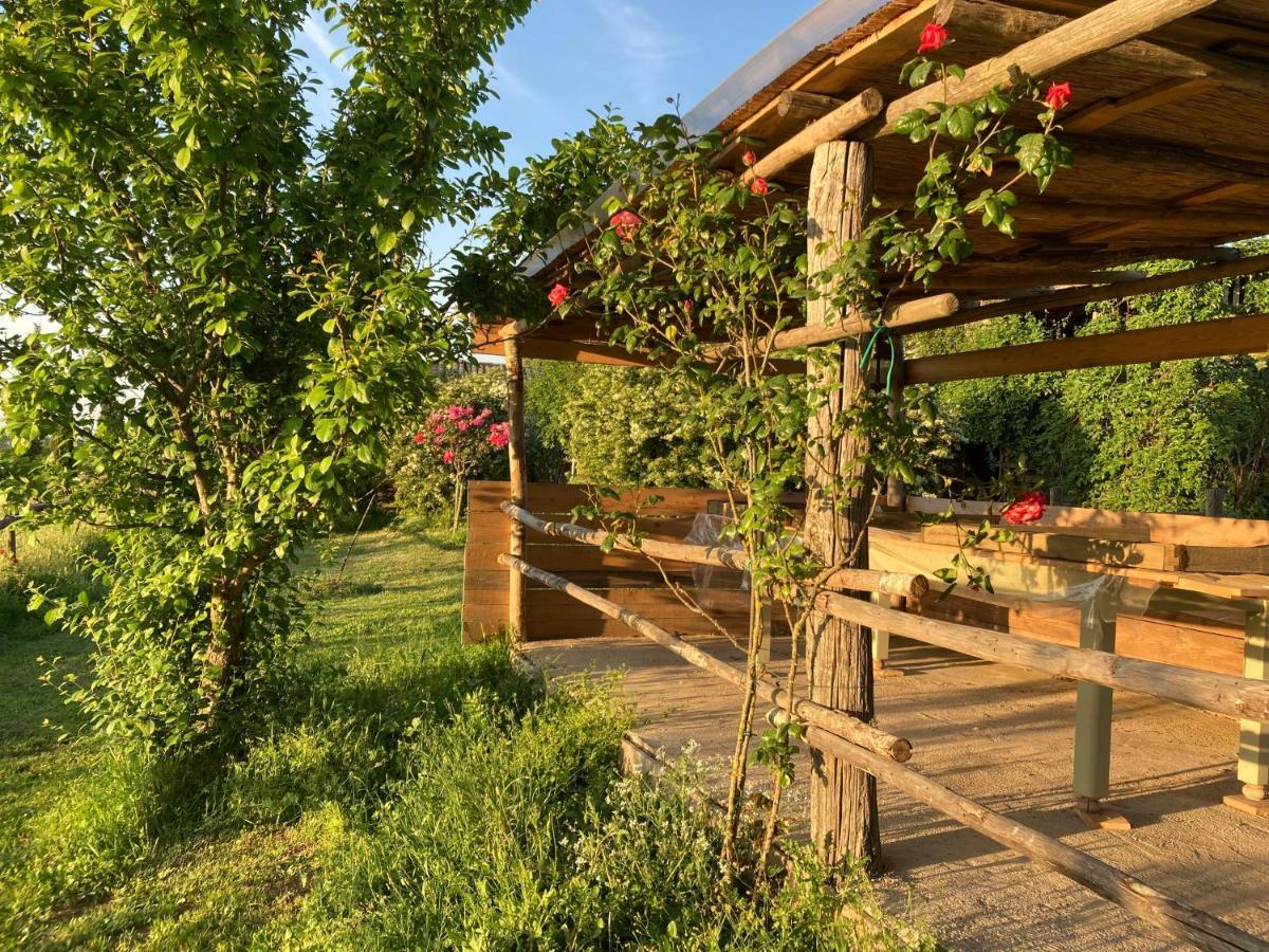 Podere Delle Rose Torre San Severo Exterior foto